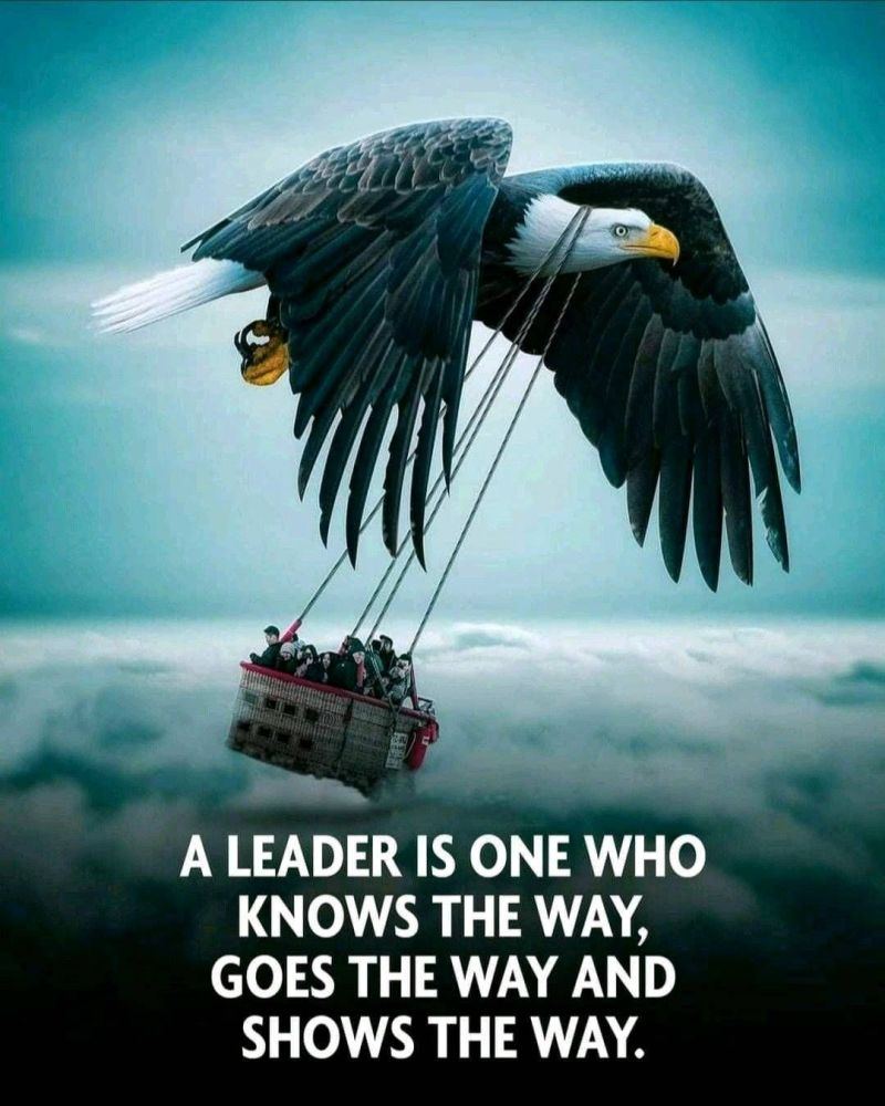 AdvisorVenture's tweet photo. Agree 💯

#amazingmentor #dailydose #leadership #leadershipfirst #leadershiptips #beleader #beentrepreneur #begreen #getconnected #JEBC #Jebusinessconsultancy #startup #assetsdevelopment #portfoliomanagement #businessdoctor #consultnow #starttoday #growhigh #growbeautiful https://t.co/MDH1OFROoE