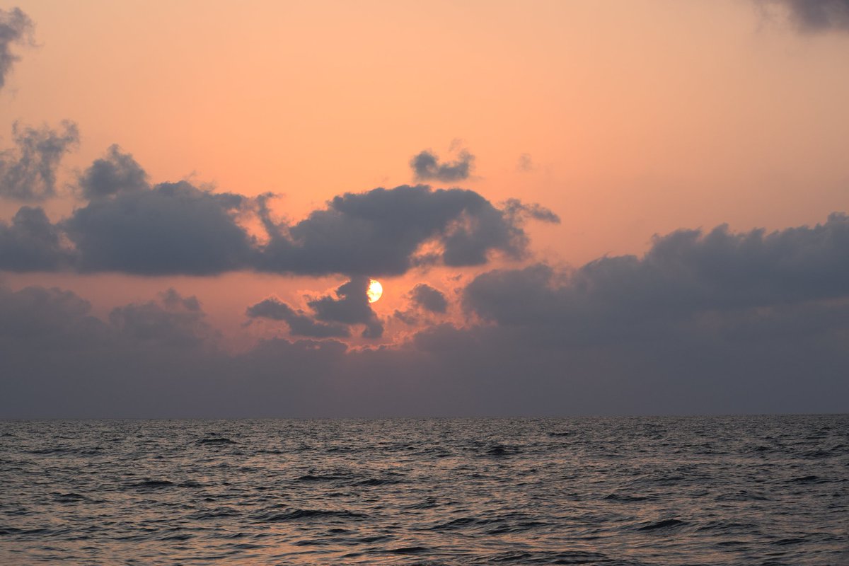 ramvik18 tweet picture