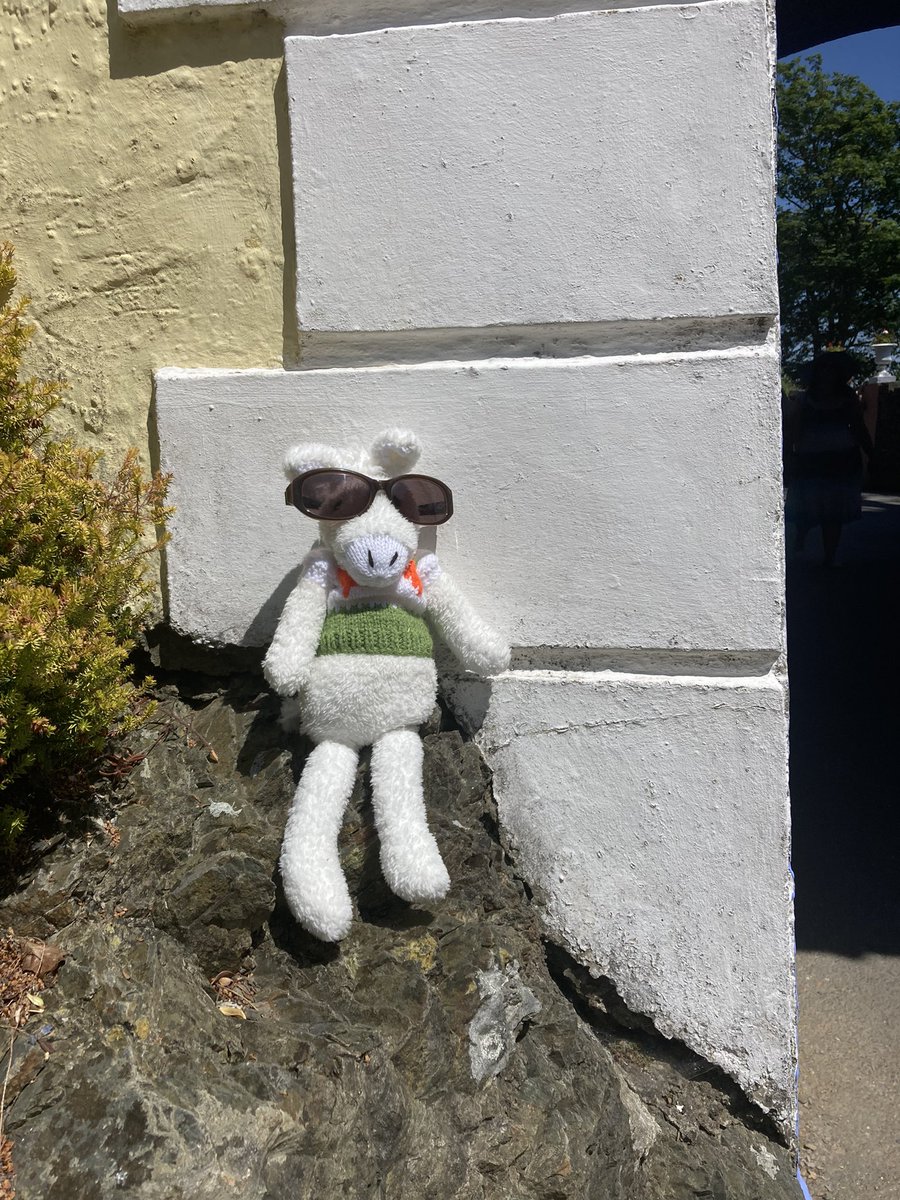 Do you know where Knitted Norman is today?
#northwales #sunsout #daysout #italianriviere