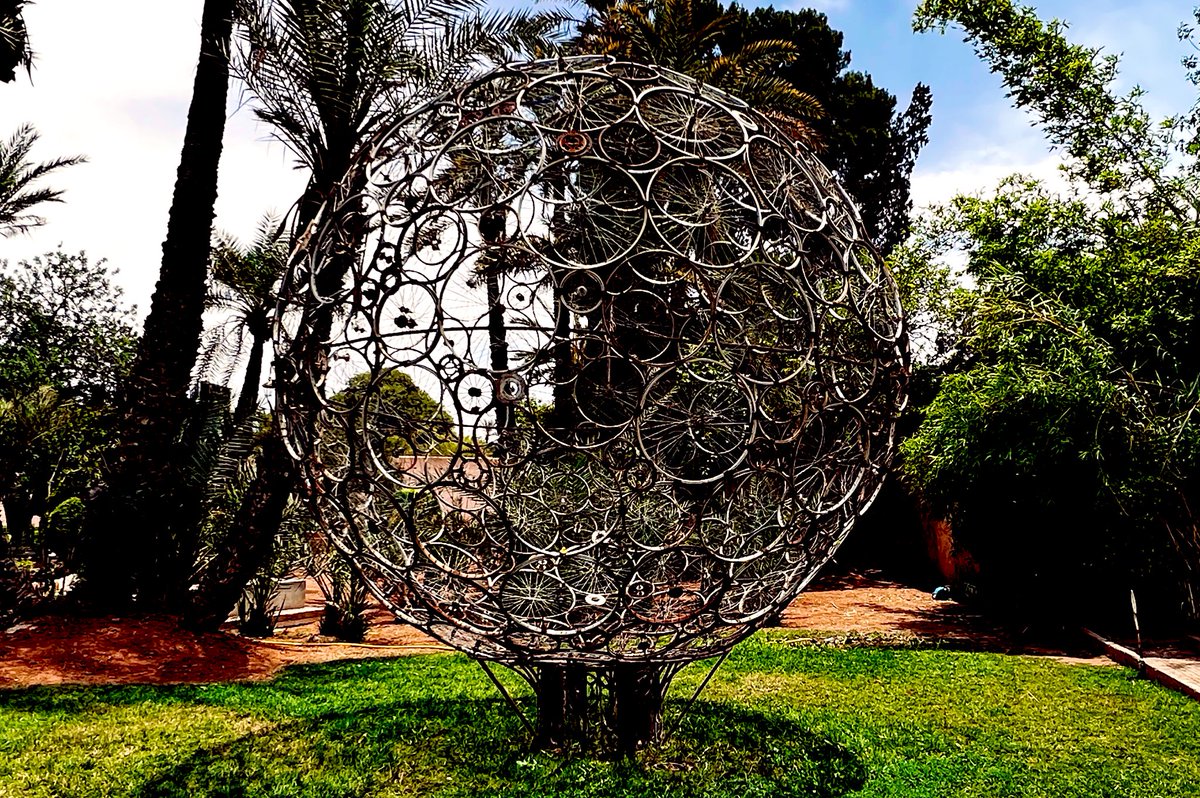 jaysonstreet's tweet image. First #DuckArmyInvasion of the day in Morocco. 😊