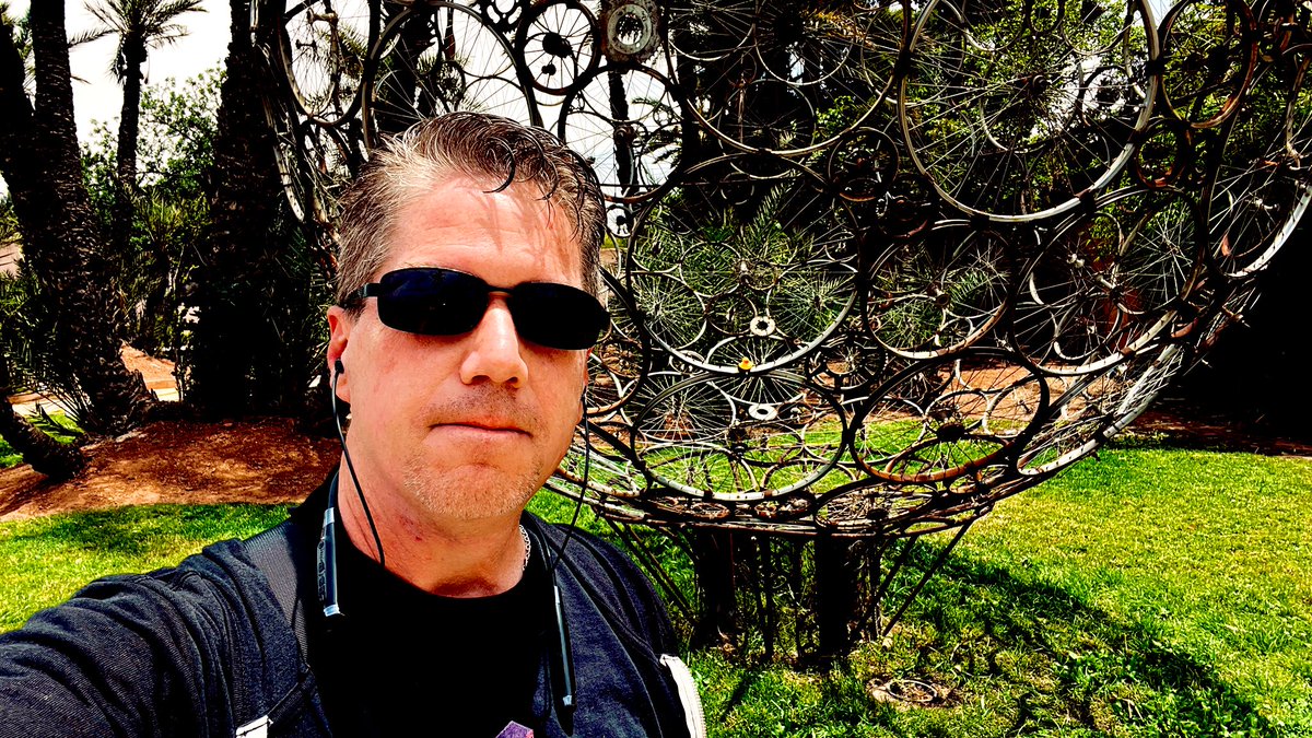 jaysonstreet's tweet image. First #DuckArmyInvasion of the day in Morocco. 😊