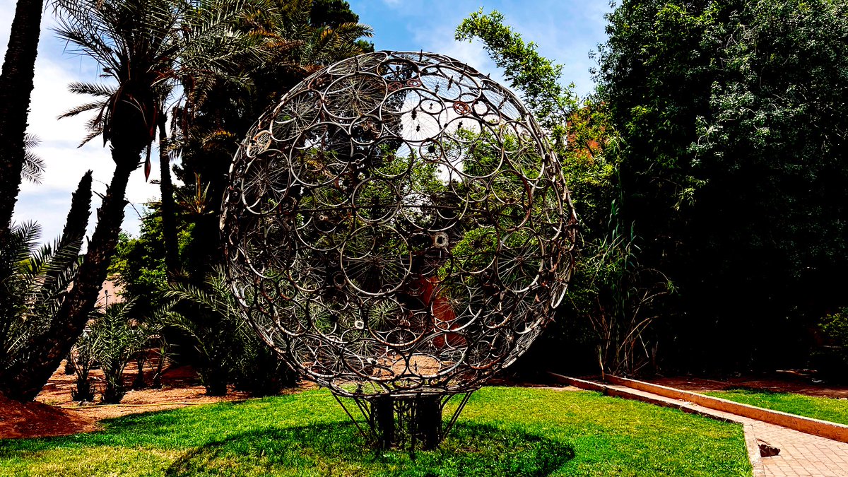 jaysonstreet's tweet image. First #DuckArmyInvasion of the day in Morocco. 😊