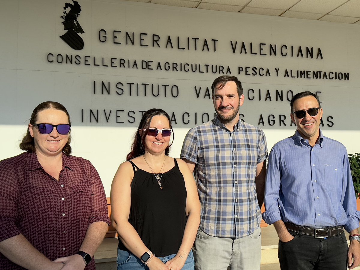 monica_kehoe's tweet photo. This week we have spent time in and around Valencia, seeing how the team here manage Xylella. Big thanks to @avicent_agr @_Xilef_ @Miriam_Sies from @GVAivia for showing us the field, the lab and sharing your experiences! https://t.co/hjDKtTHcvT