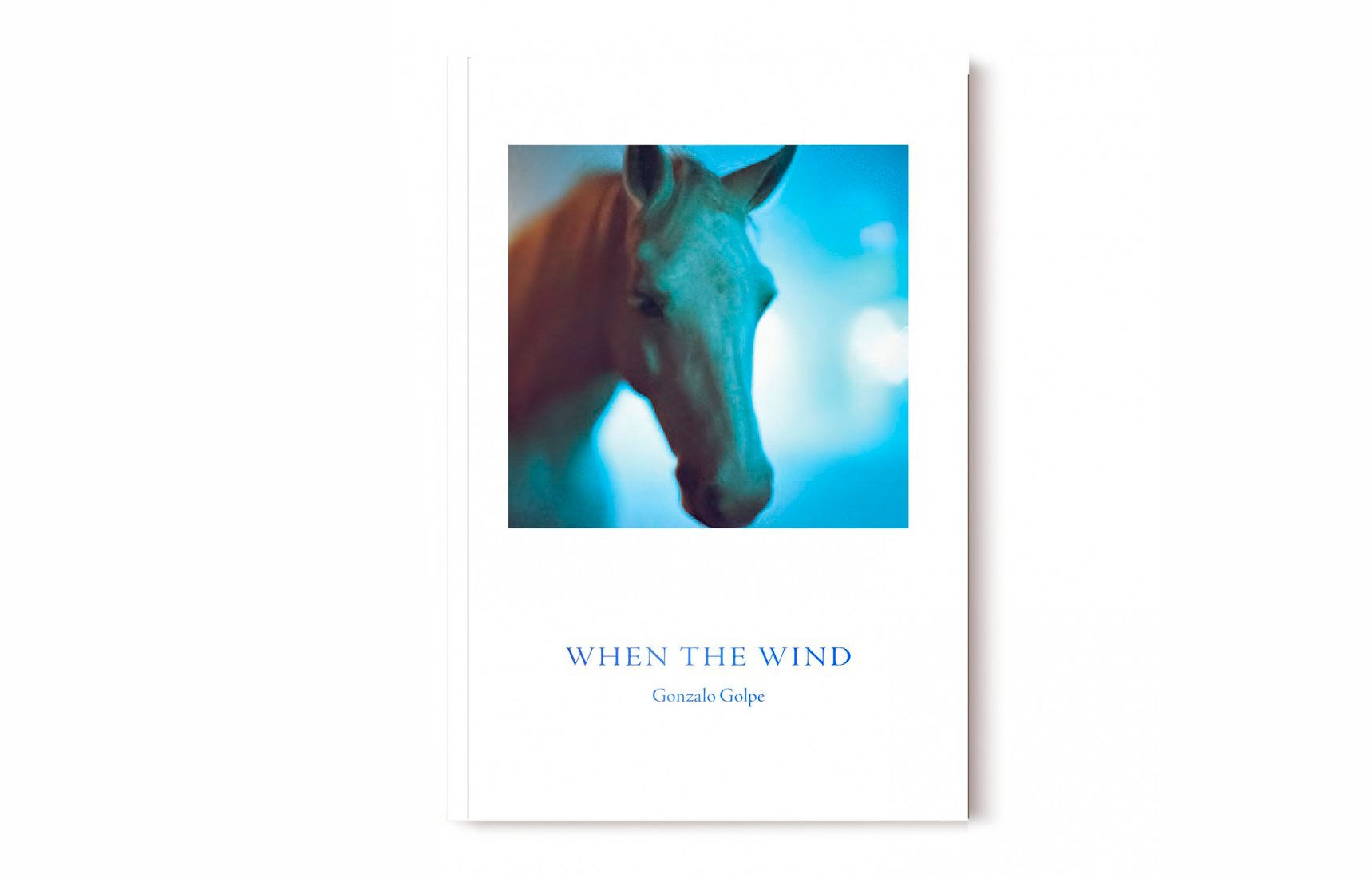 En la portada del libro 'When the Wind' se muestra una imagen de un caballo blanco generado a través de I.A.