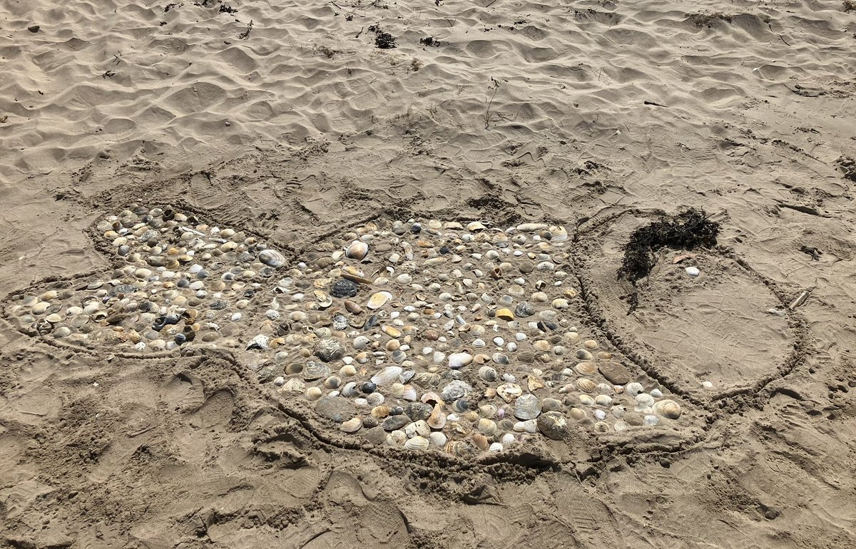 Magilligan Field Centre tweet media