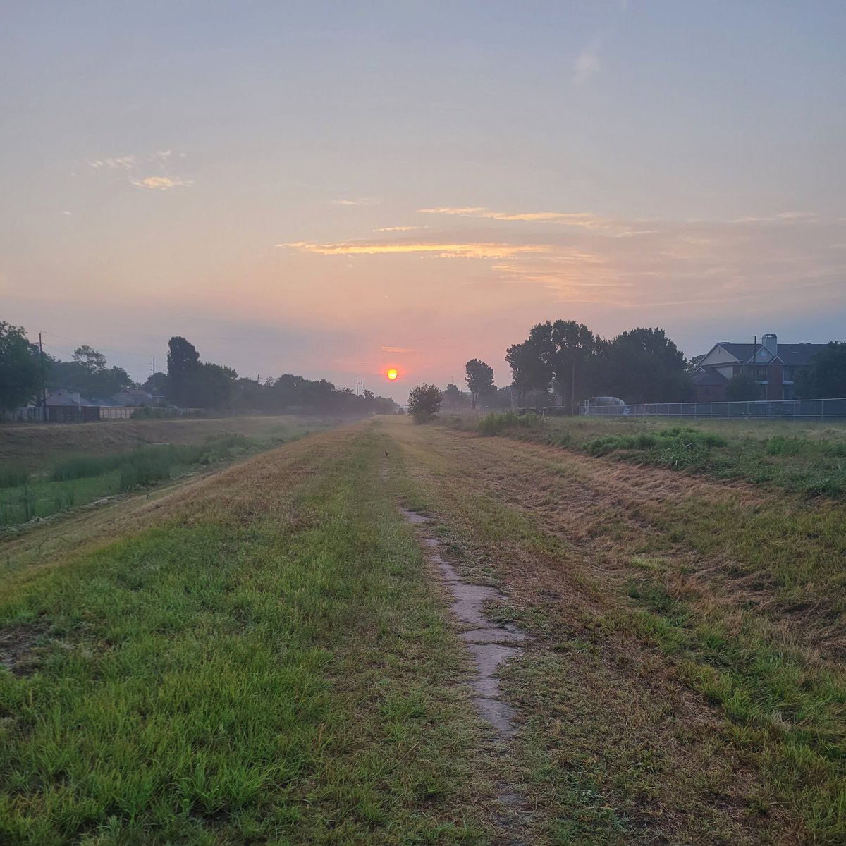 Culpepper_CH's tweet image. 7 miles in the Hood. Temps were in the lower 70s. Not bad. Saw my buddy, Mr. Skunk. Have a great Tuesday. #trialrunning #running