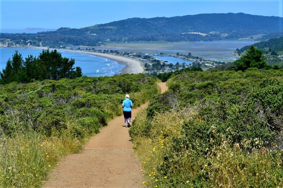 Per GGNRA restrictions this year for #112thDipsea the historical #DipseaRace / White Gate Ranch trail from White Gate/White Barn to Panoramic Highway will be CLOSED. Violators will be DISQUALIFIED. Runners will be directed to The Moors #Trailrunning #TheGreatestRace #MarinCounty