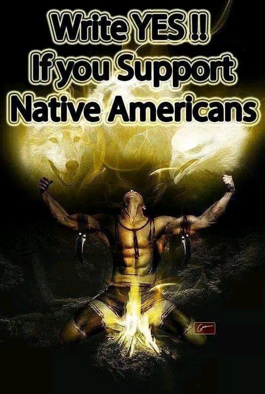 We Are Native American tweet media