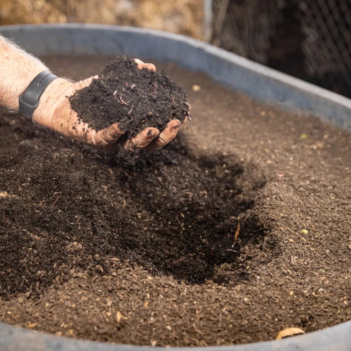delta_worms's tweet photo. At Delta Worms, we know that healthy soil means healthy plants. That's why we're dedicated to providing the best vermicompost soil and products available, so you can enjoy the fruits of your labor. https://t.co/in4lNQG0TK