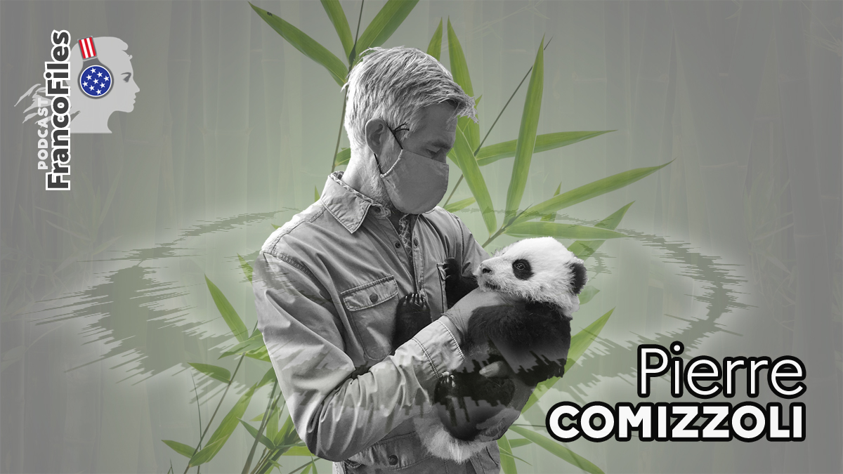 franceintheus's tweet photo. What is the role of a zoo? How do places like the @NationalZoo function as research centers and as pleas to preserve biodiversity?
On this week of the #FrancoFiles Podcast, Veterinarian Pierre Comizzoli answers these questions and more: https://t.co/jxBdMDHFqV https://t.co/mXXEm5JROE