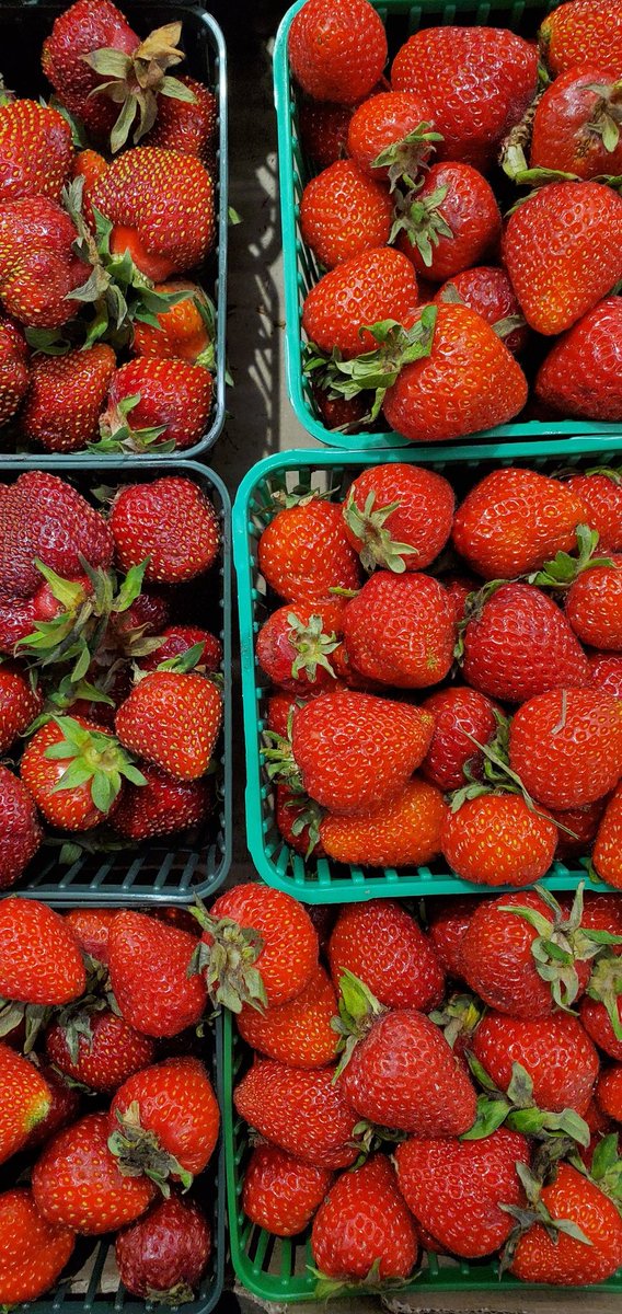 Whether you use them in a salad, sangria, smoothie, or pie, we can all agree strawberries are versatile. Dilly's Farmacy prides itself in its locally sourced June bearing strawberries which are sweeter and softer! 🍓

Get these delicious berries this week at the @hamontmarket!