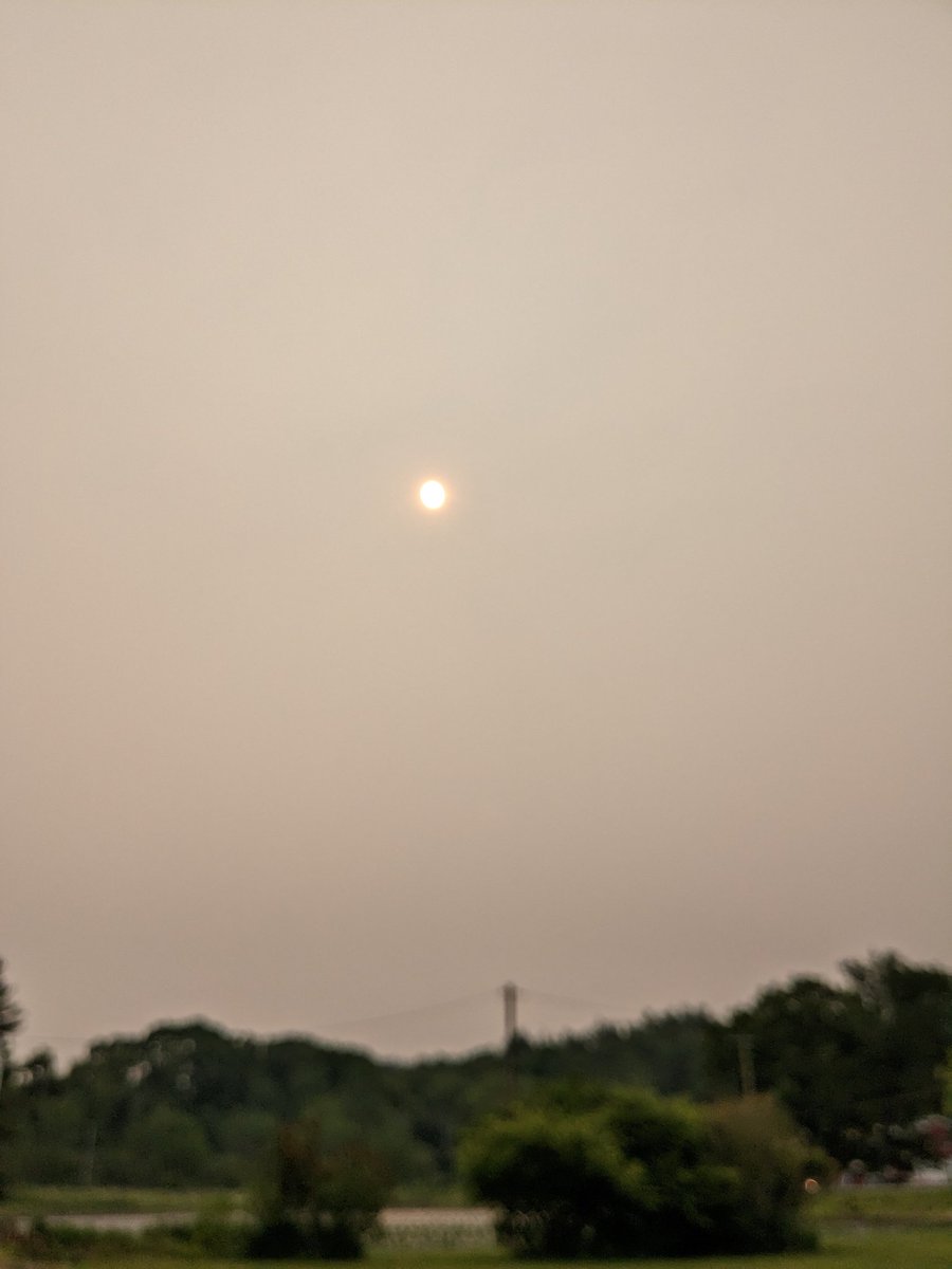 The world is literally on fire, but everything's fine...