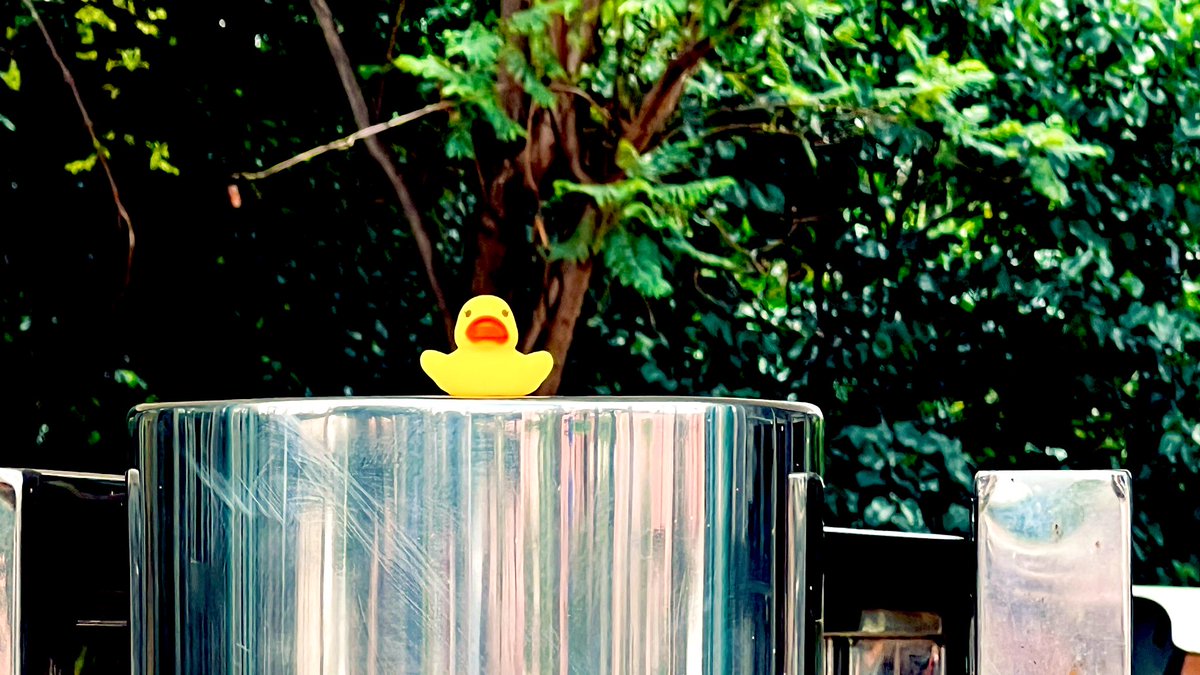 jaysonstreet's tweet image. How could I not place a rubber ducky at the Cyber Park! 😊 #DuckArmyInvasion  #HackerAdventures