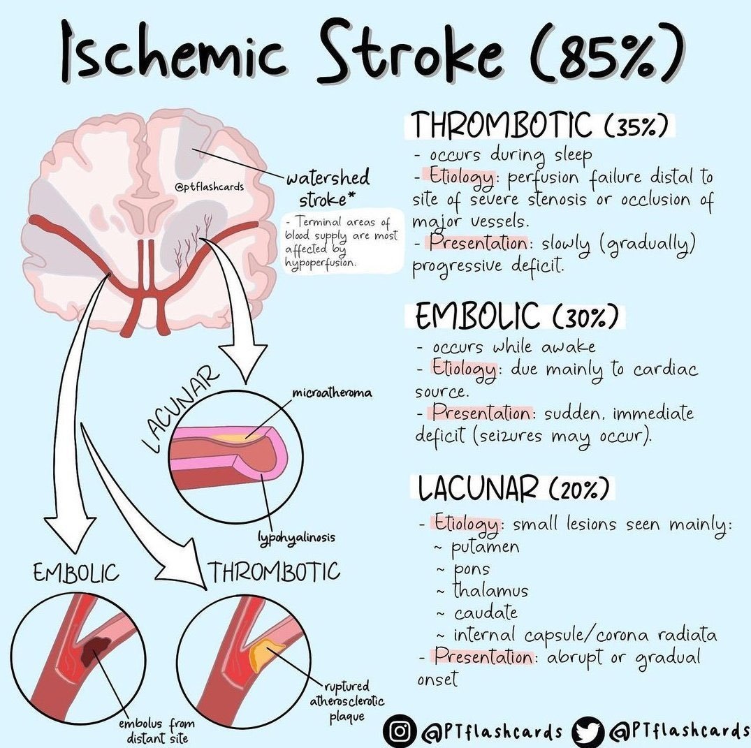 chrost_hugo's tweet photo. Ischemic Stroke overview.  

Source: @PTFlashcards

#MedTwitter https://t.co/ZKrIN3HLD9