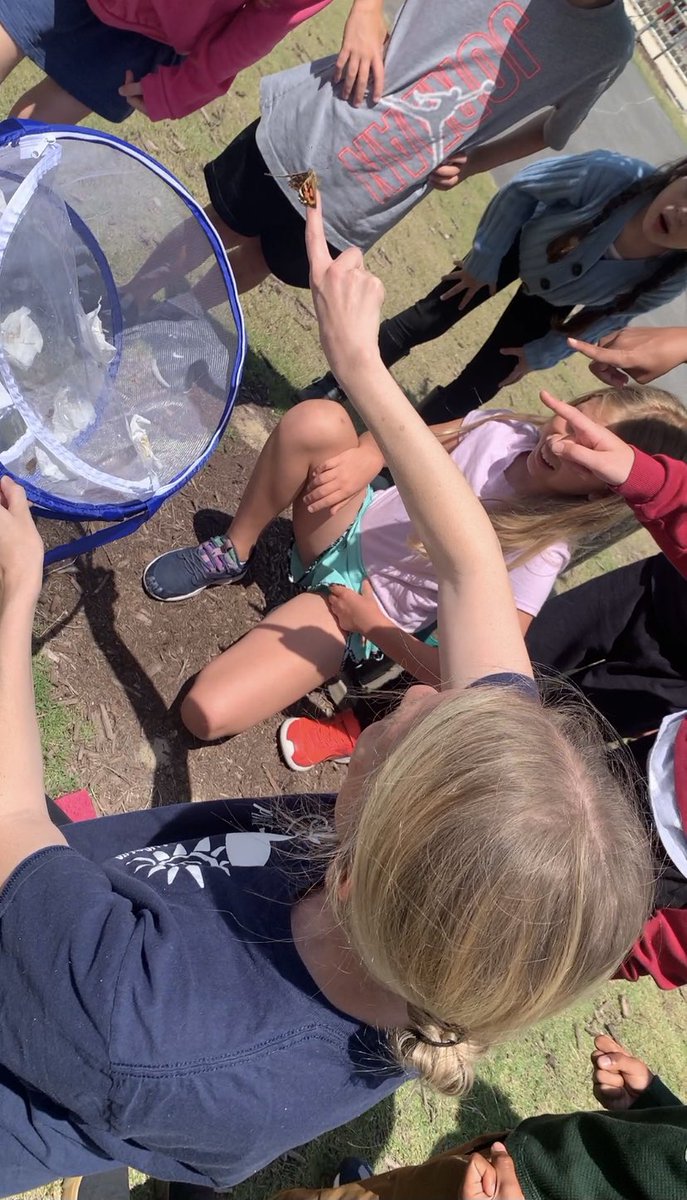 🦋We had so much fun learning about the lifecycle of a butterfly these past few weeks!
