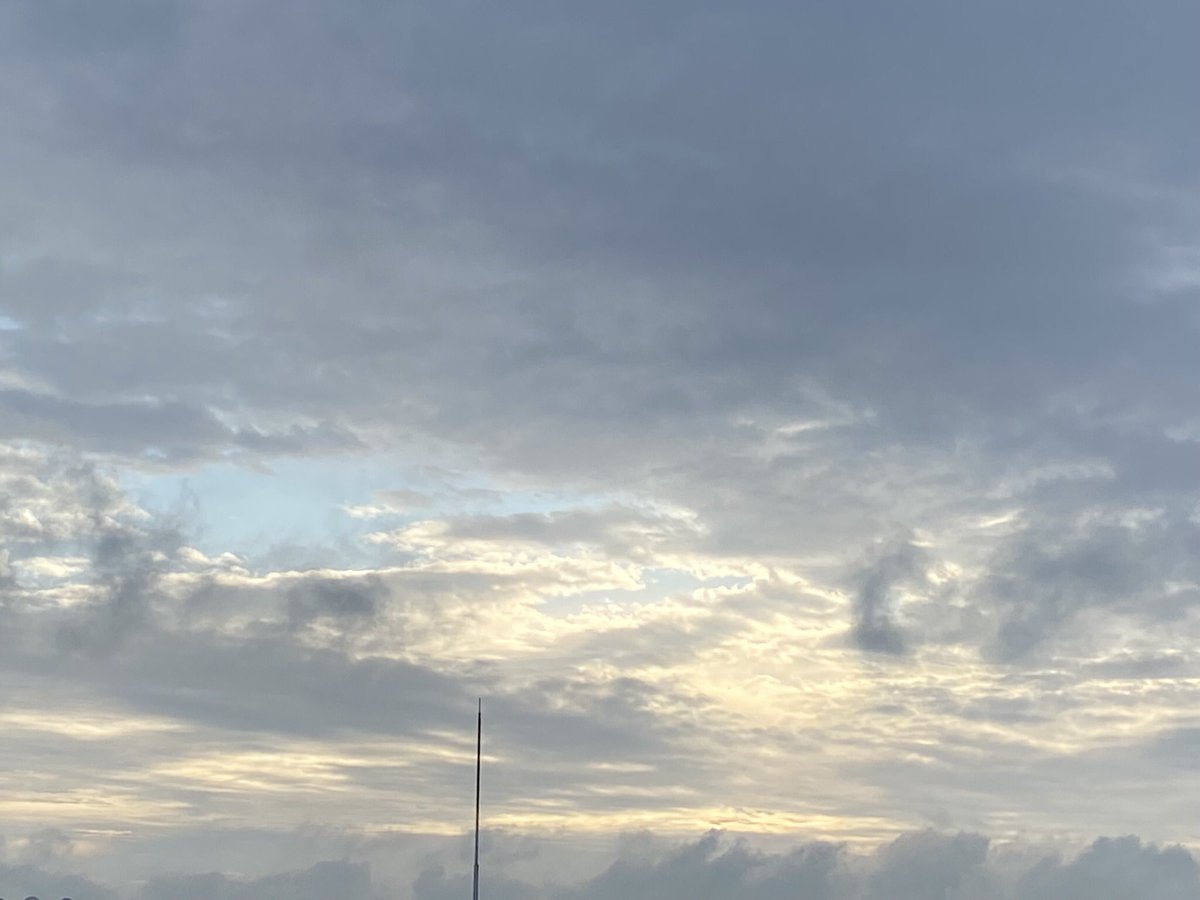 おはよーモーニング
雲間から少し太陽でてきましたね

赤紫蘇ジュース🥤作りました
暑くなりそうな夏これで乗り切るぞ
 #ohayomorning
#アサパチ