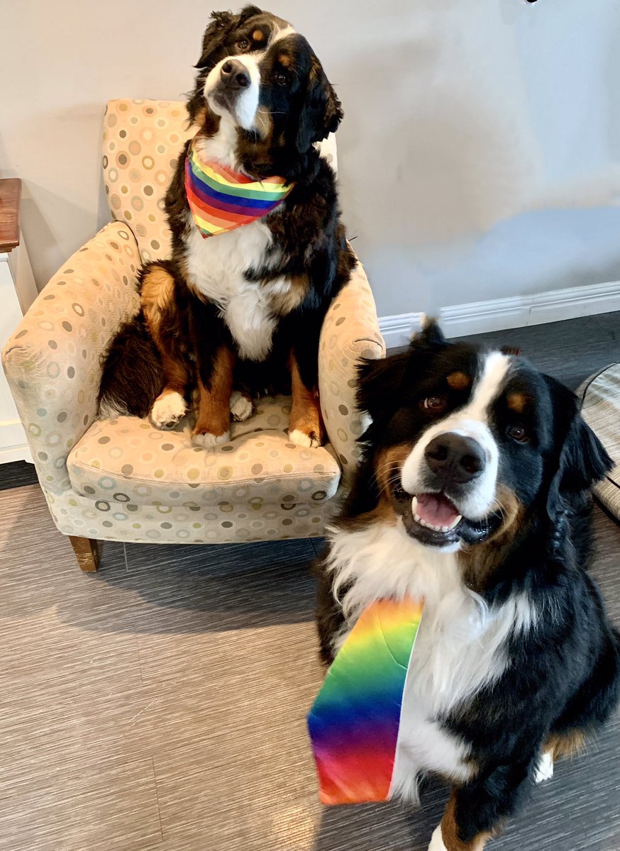 Anna and Stanley are happy to suggest rainbow fashion for tomorrow @MQWSchool #colouryourworld