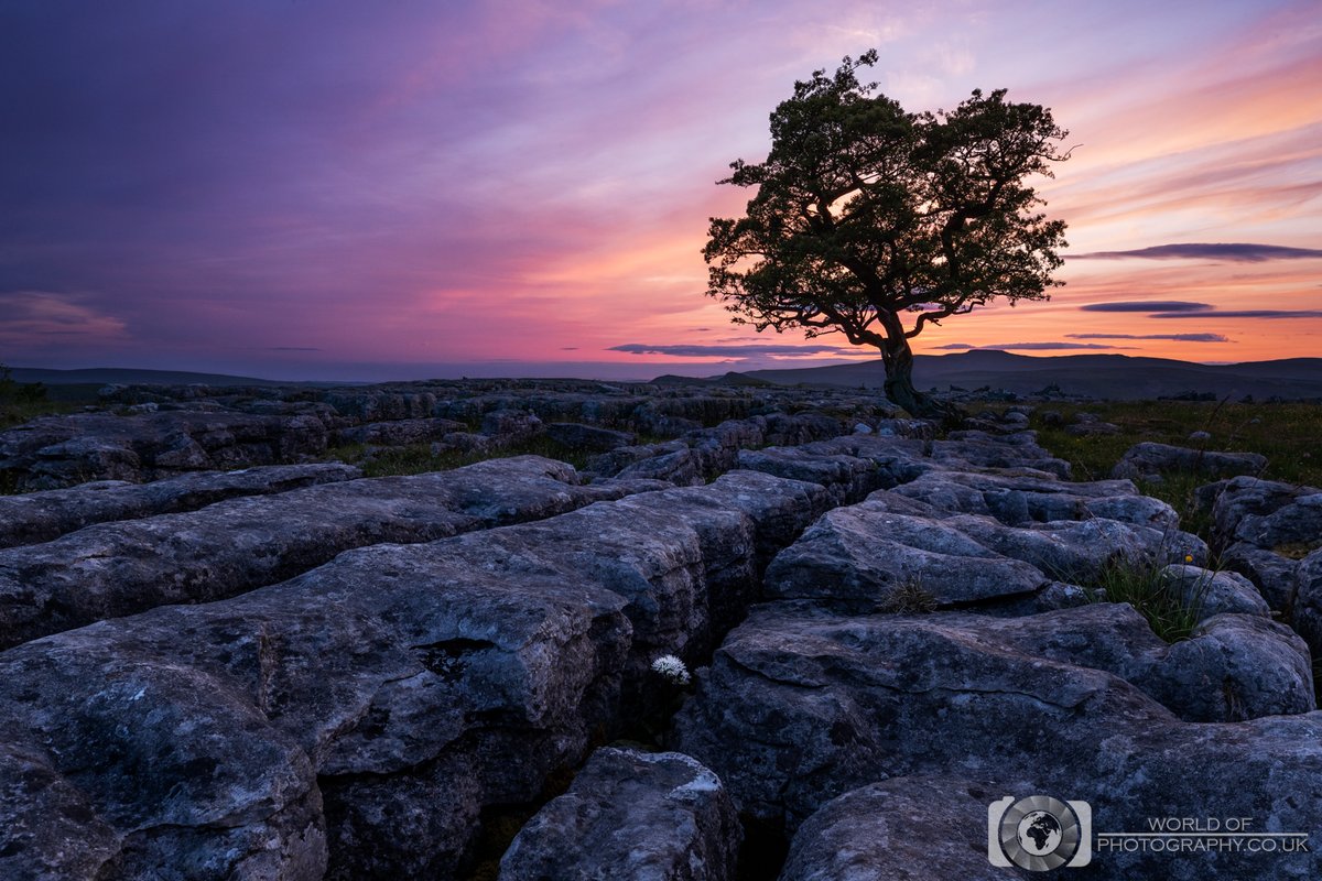 Vista

Yorkshire Dales, UK

#yorkshire #yorkshiredales #yorkshiredalesnationalpark #sunset #yorkshiredaleslife #landscapephotography #worldofphotography #farmhouse #countryside #field #uk #dales #beautiful #view #farm #farming #northyorkshire #picturesque #sunlight #Canon