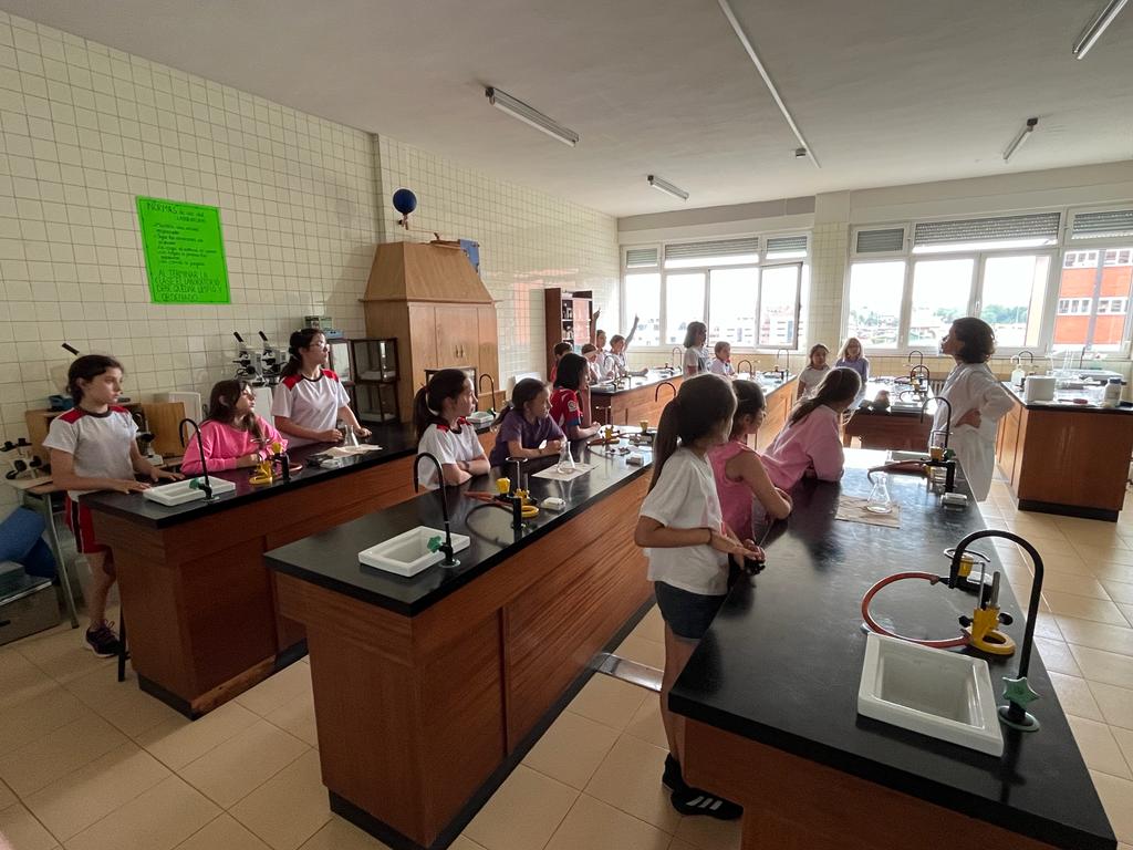 Colegio Montedeva tweet media