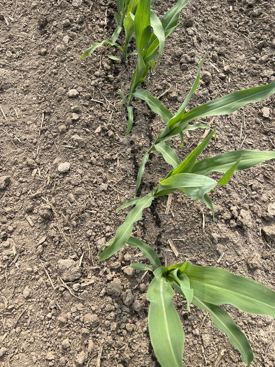 Farmerfrey tweet media