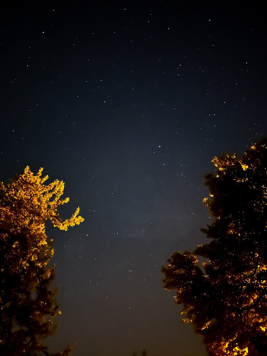 Sygnus (Kuğu) kanatlarını açmış bizi bekliyor. Deneb’i tanıyanlar el kaldırsın ✨