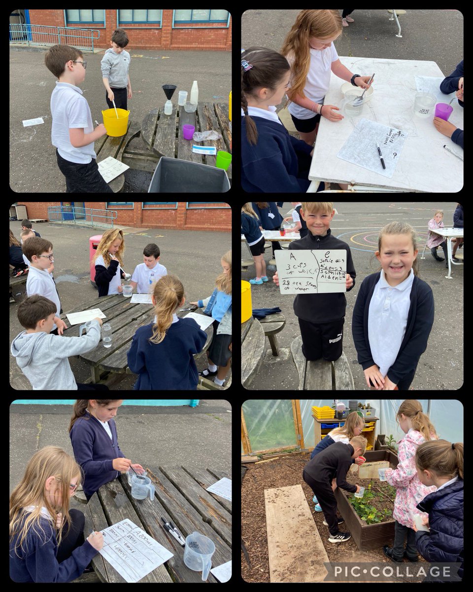 Estimating and measuring… P3/4 love practical maths-especially in this dry weather. @NAC_numeracy #collaboration
