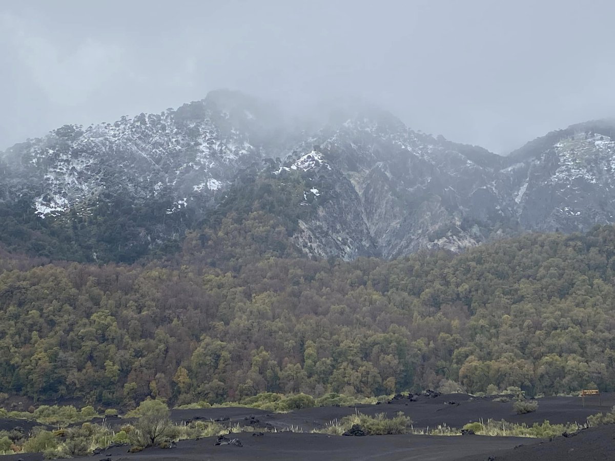 Are you a social scientist or humanities scholar working on issues like biodiversity loss? We would love to have you join us at Andina (Feb 2024, PN Conguillio, Chile ⛰) to walk and discuss our role as researchers in conservation. apply here! ➡️ andinachile2024.org