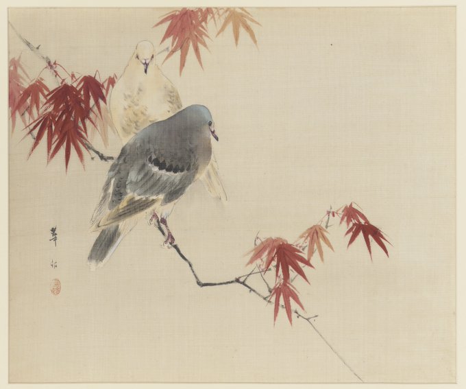 Two Doves on a Maple Branch, by Ohara Koson, 1912-1926

Other Koson's prints: masterpiece-of-japanese-culture.com/works-of-ohara…

#nihonga