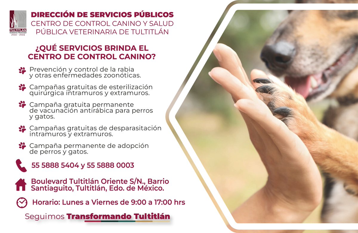 25_27Tultitlan's tweet photo. Checa los servicios que te brinda el Centro de #ControlCanino📷 y Salud Pública Veterinaria de Tultitlán📷.
Para mayores informes puedes comunicarte a los siguientes números:
📷5558885404 y 📷5558880003
#SeguimosTransformandoTultitlán https://t.co/HUwwRakms1