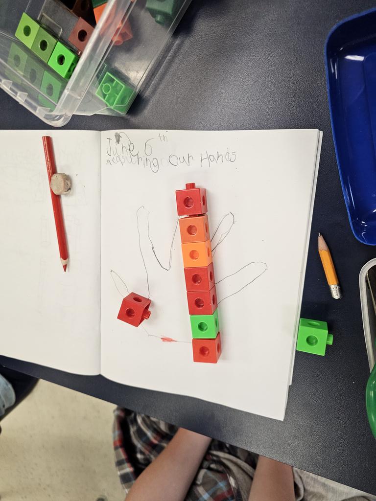 Mrs. Leung-Chow's Grade 1 Class tweet media