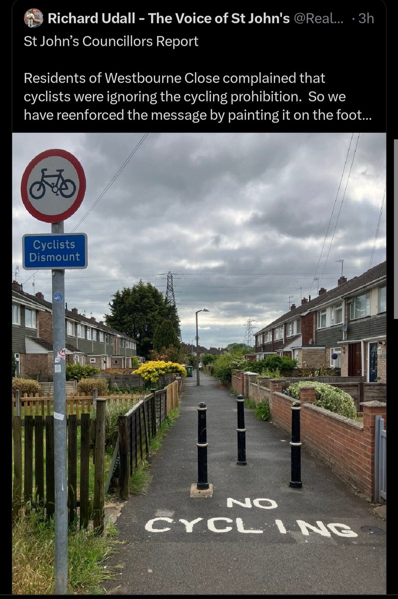 Louise 🌱🐝🍃🌿 tweet media