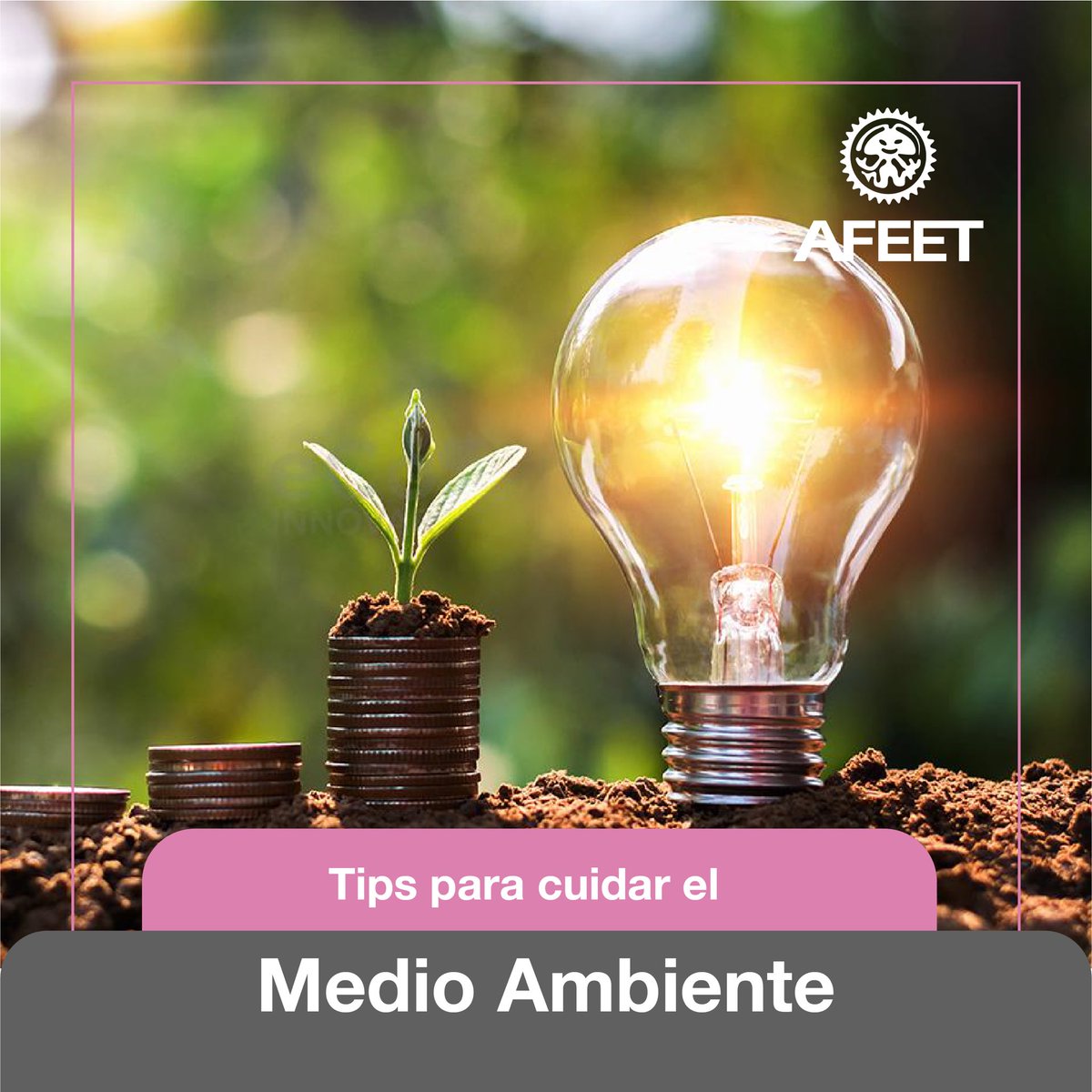 En #AFEET queremos compartir algunas recomendaciones para mejorar la situación tan grave que tenemos con respecto al Medio Ambiente del planeta. 

1. Ahorra energía en el hogar: Apaga las luces y los electrodomésticos cuando no los estés usando.