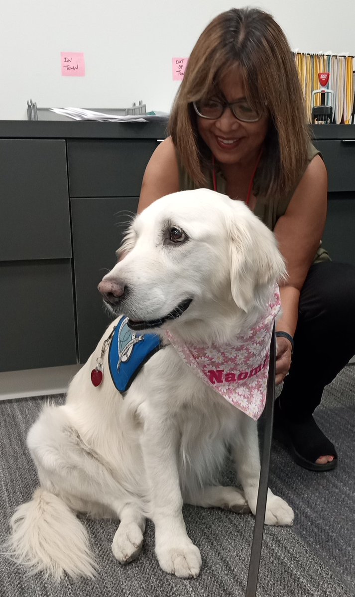 LCCK9Naomi's tweet photo. Today in Plainfield Naomi visited the Government Center Building, the Police Headquarters, 911 Call Center, and the IU Health Services Center.  It was a busy day but quite rewarding for everyone involved. https://t.co/qKnT0YfOKh