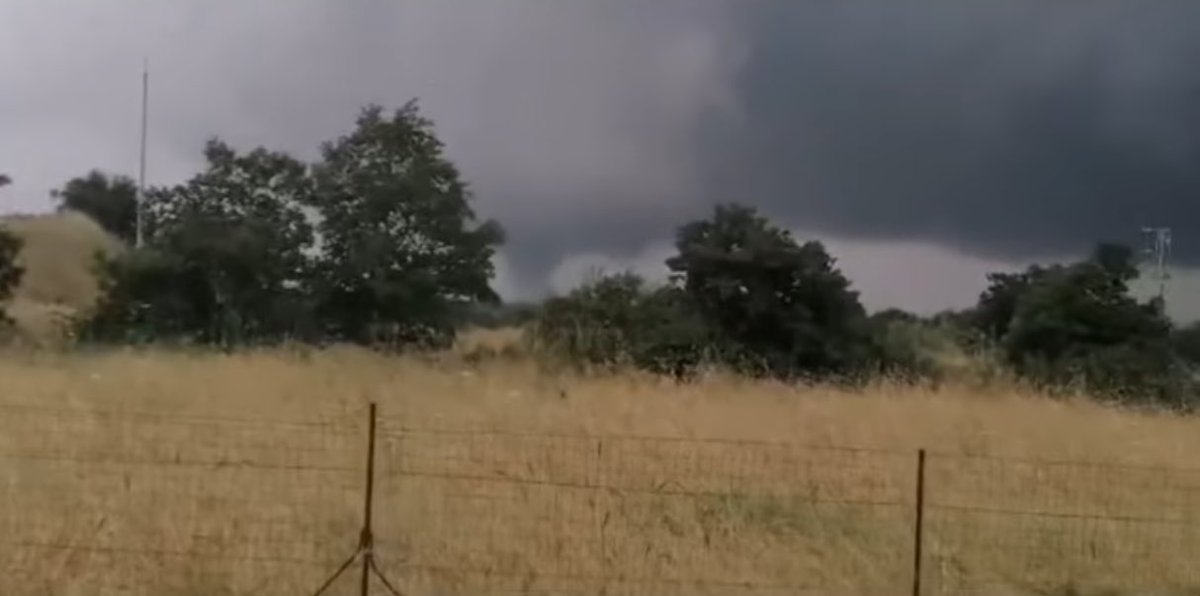 Federico Pavan tweet media