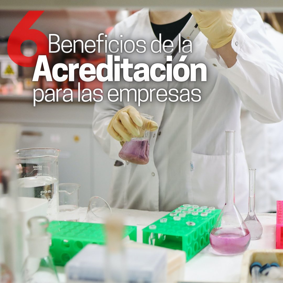 #Entérate ☝️ | 6 beneficios de la acreditación para empresas.

(Leer +)⬇️
instagram.com/p/CqB4qVXN9Kk/

#EnVenezuelaSomosCalidad
#09Jun