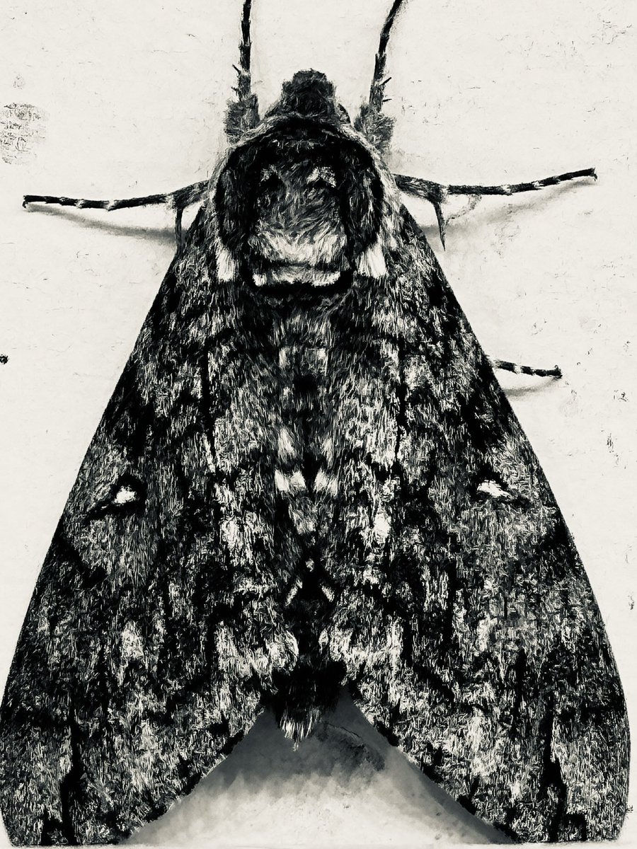 Life in Color (@licgenesis_) on Twitter photo 