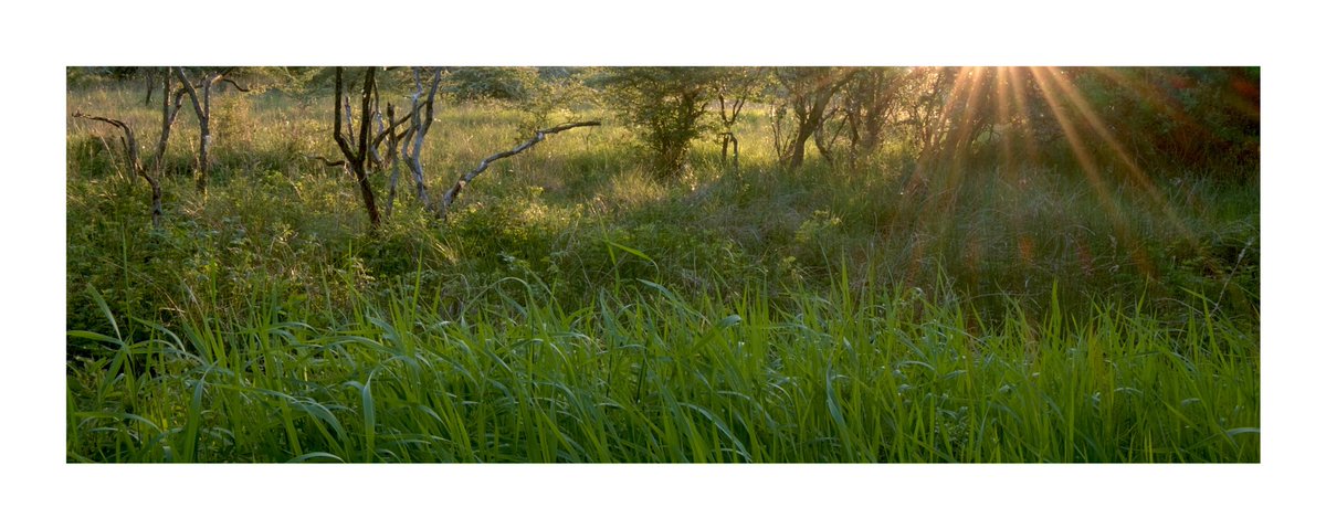 Playing with light, composition and crop   I quite like it, something a little different.
#photography #NaturePhotography #TwitterNaturePhotography #calm #panoramicphotography