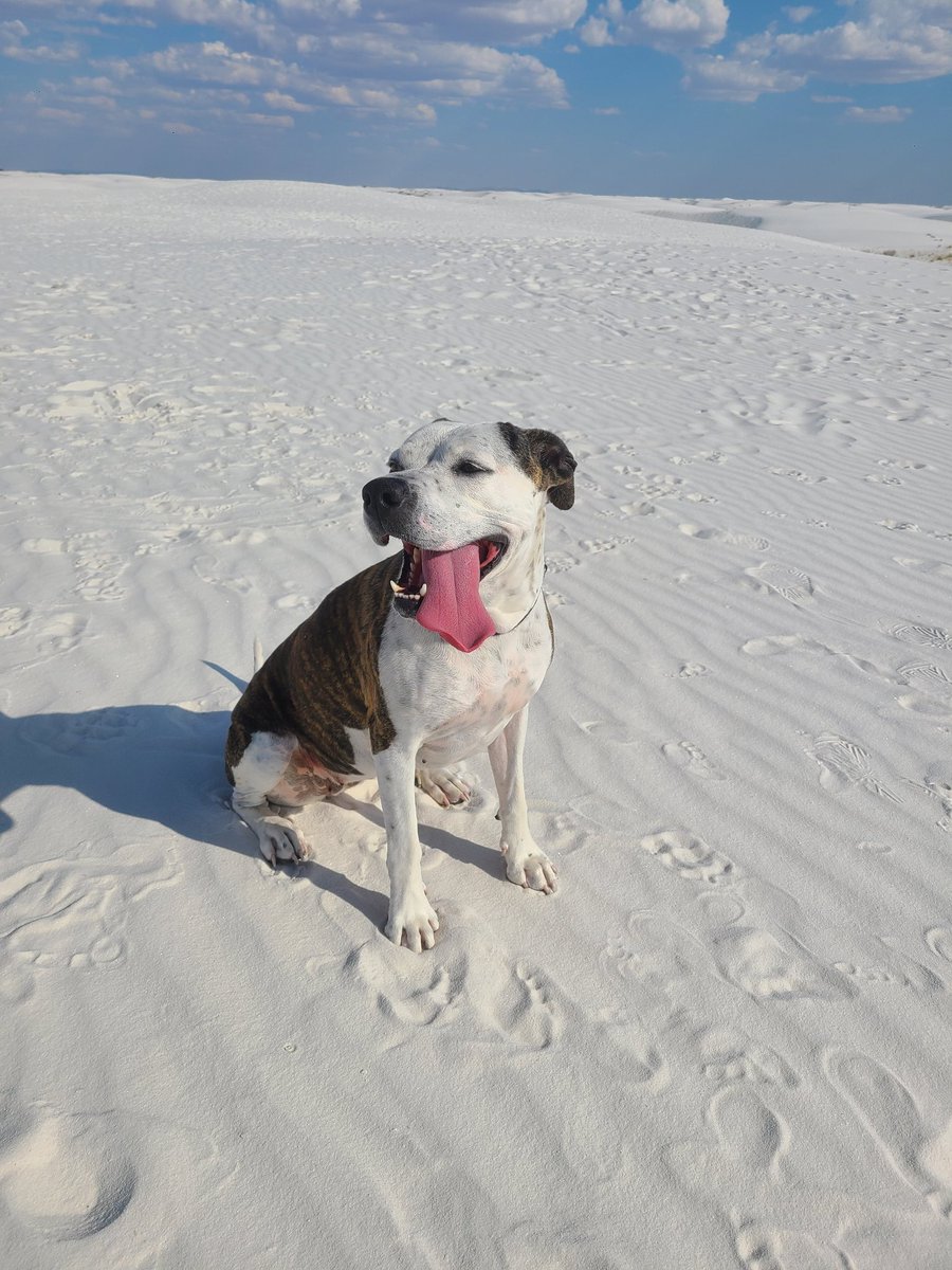 Jennifer Febbo tweet media