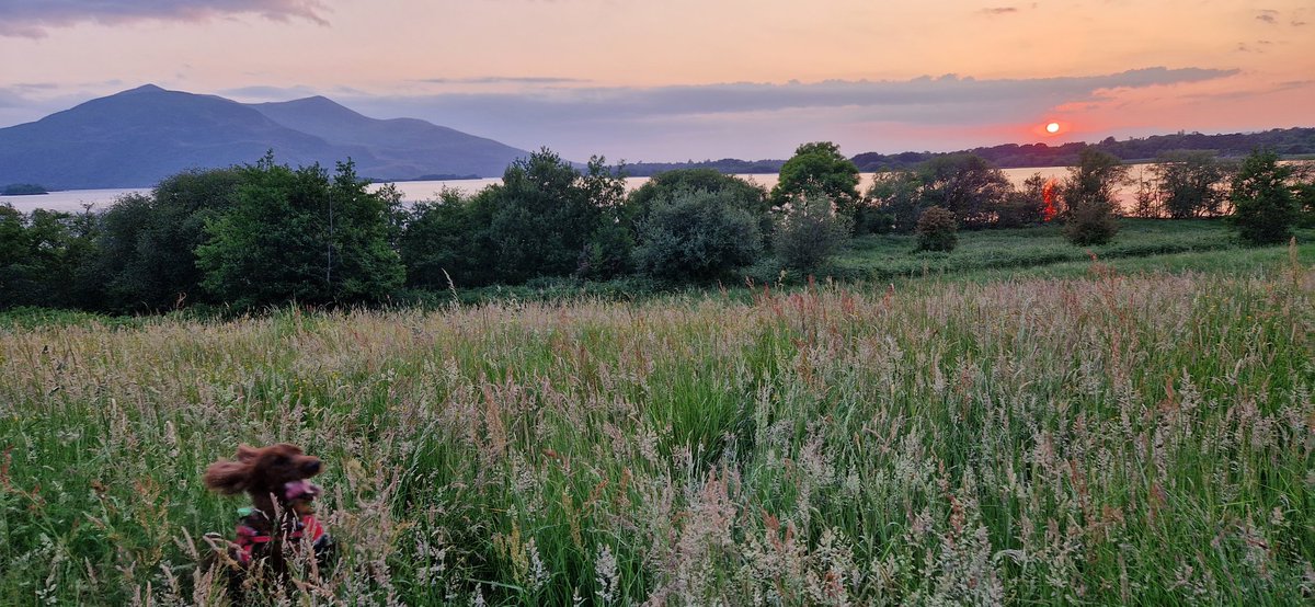 Beauty & the Beast. #LoveKillarney