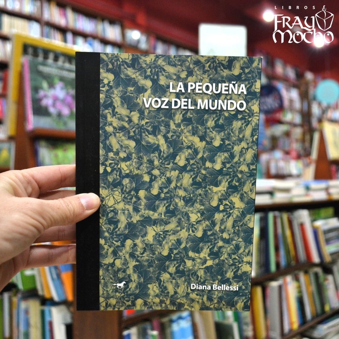 Fray Mocho tweet media