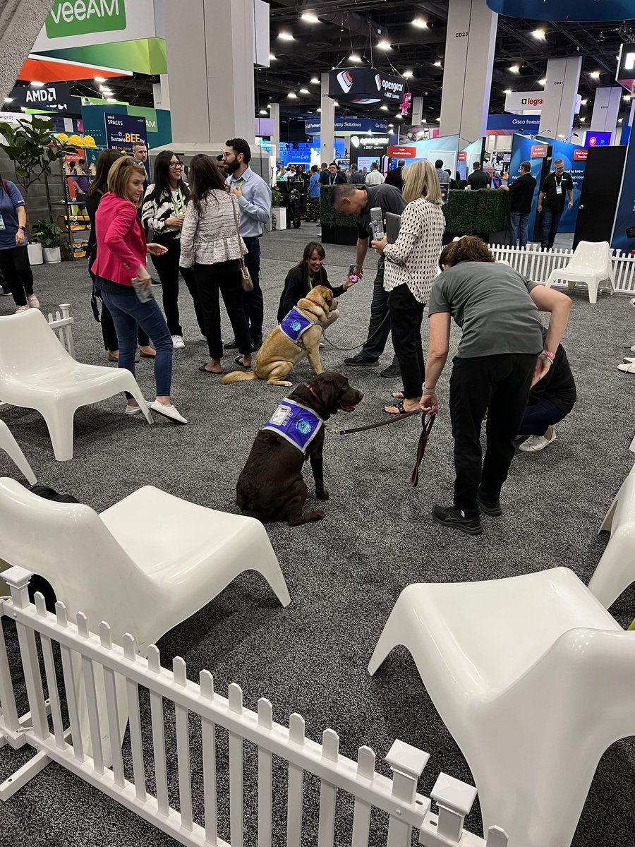 Go pet a dog at #CiscoLive. Highly recommended!