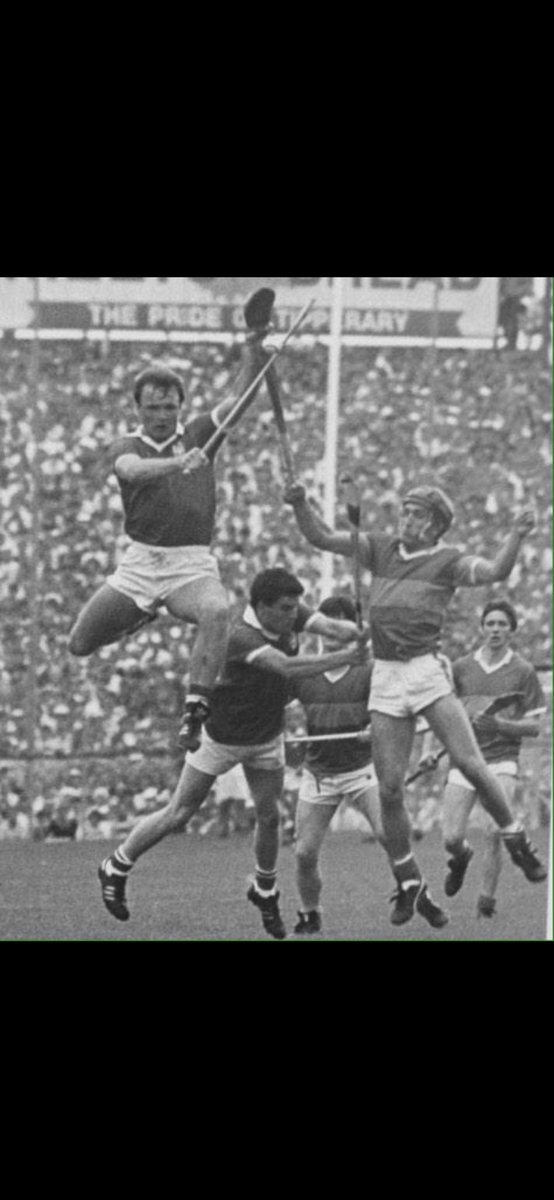 noel walsh tweet media