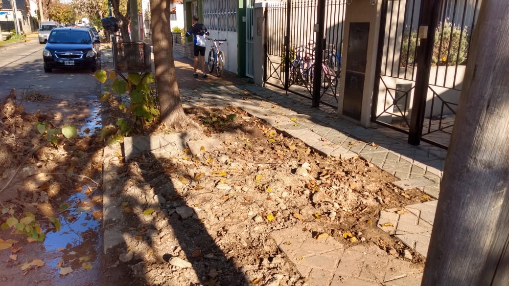 Florencia Liguori tweet media