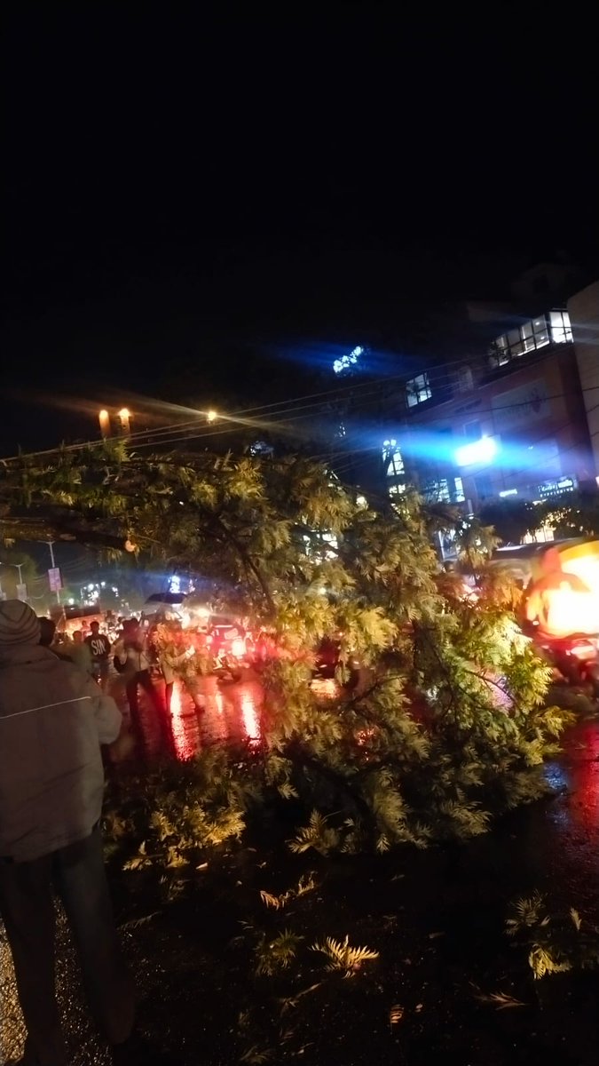 Tree fallen on BESCOM line in Varthur Kodi area. Removal work is under progress.
@⁨Helpline Team⁩ Post this in Helpline twitter page.