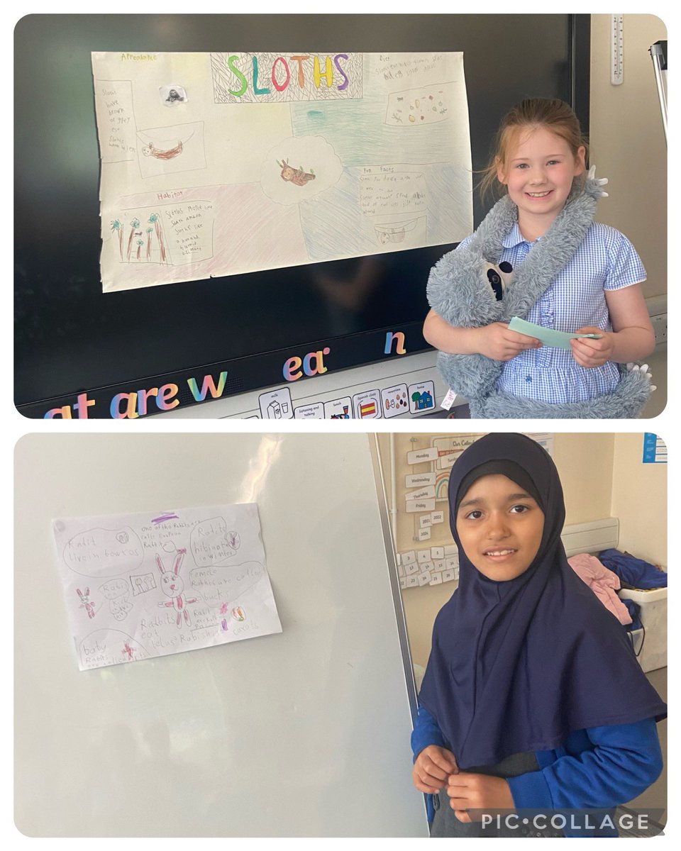 MissMorrow96's tweet photo. Some more of P3’s amazing animal talks. Well done to you all! I have loved hearing you talk to the class about your animals. You have all impressed me so much with your presentation skills and the creativity you have put into your posters ⭐️ @standrewsFCRC https://t.co/oDxVi3AGDA