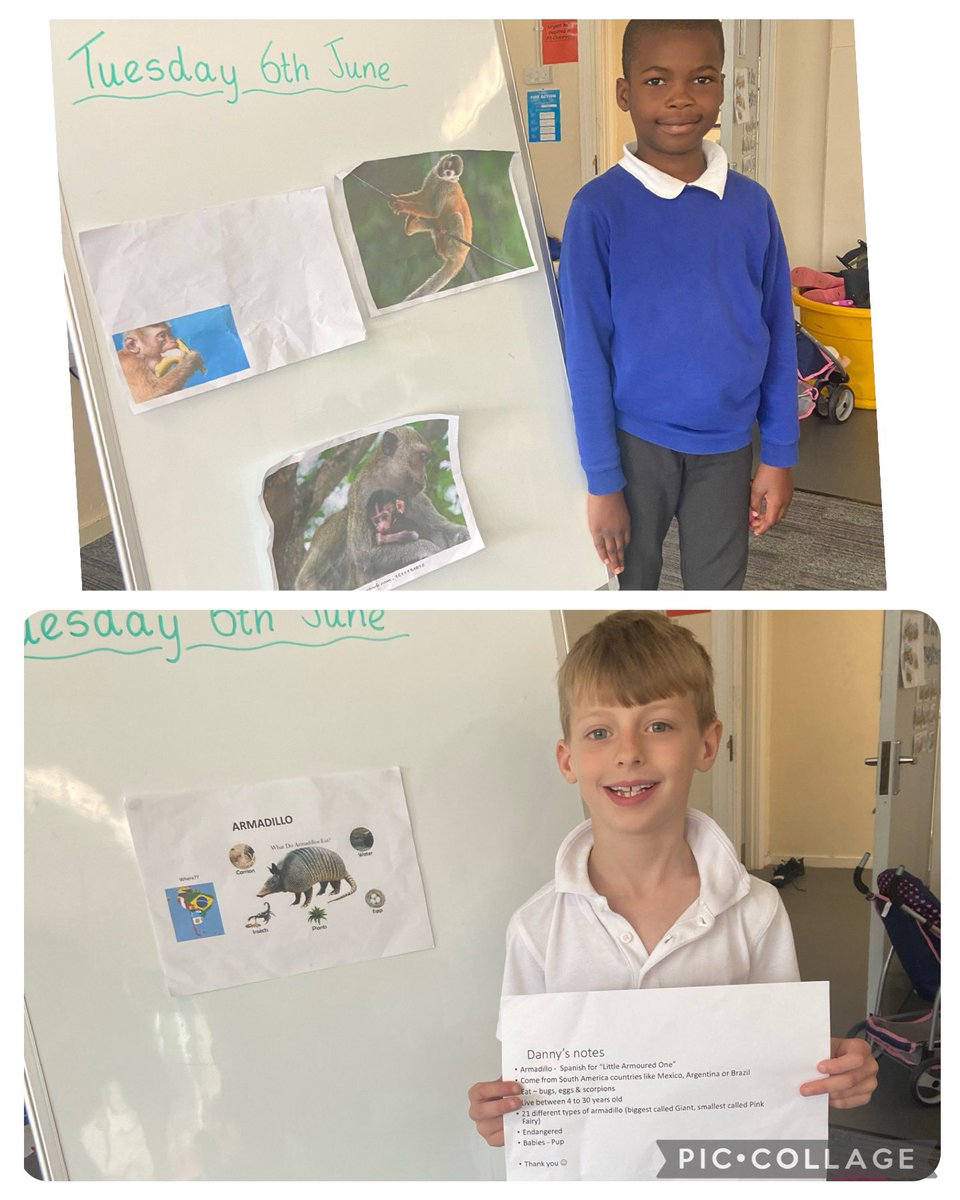 MissMorrow96's tweet photo. Some more of P3’s amazing animal talks. Well done to you all! I have loved hearing you talk to the class about your animals. You have all impressed me so much with your presentation skills and the creativity you have put into your posters ⭐️ @standrewsFCRC https://t.co/oDxVi3AGDA