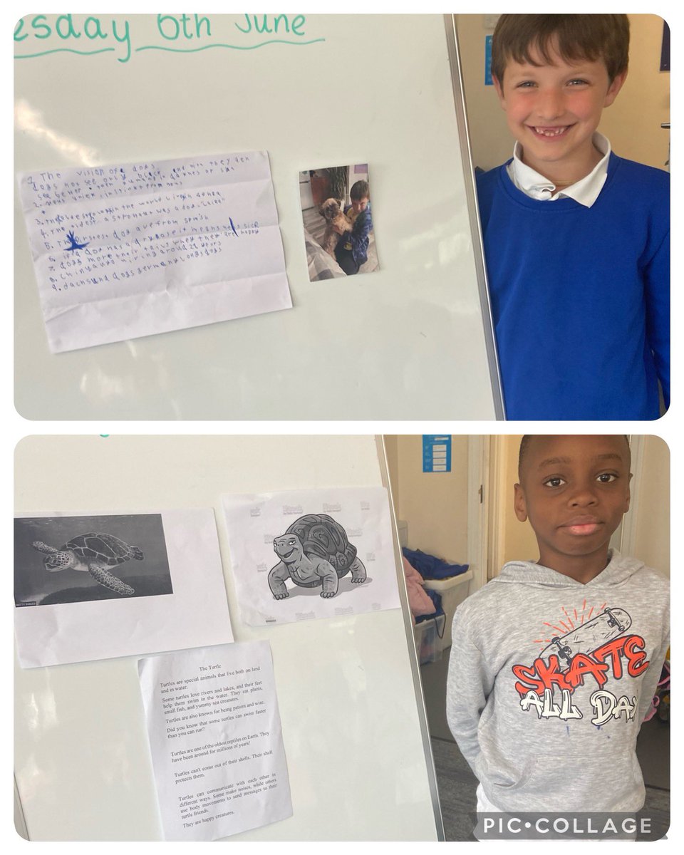 MissMorrow96's tweet photo. Some more of P3’s amazing animal talks. Well done to you all! I have loved hearing you talk to the class about your animals. You have all impressed me so much with your presentation skills and the creativity you have put into your posters ⭐️ @standrewsFCRC https://t.co/oDxVi3AGDA