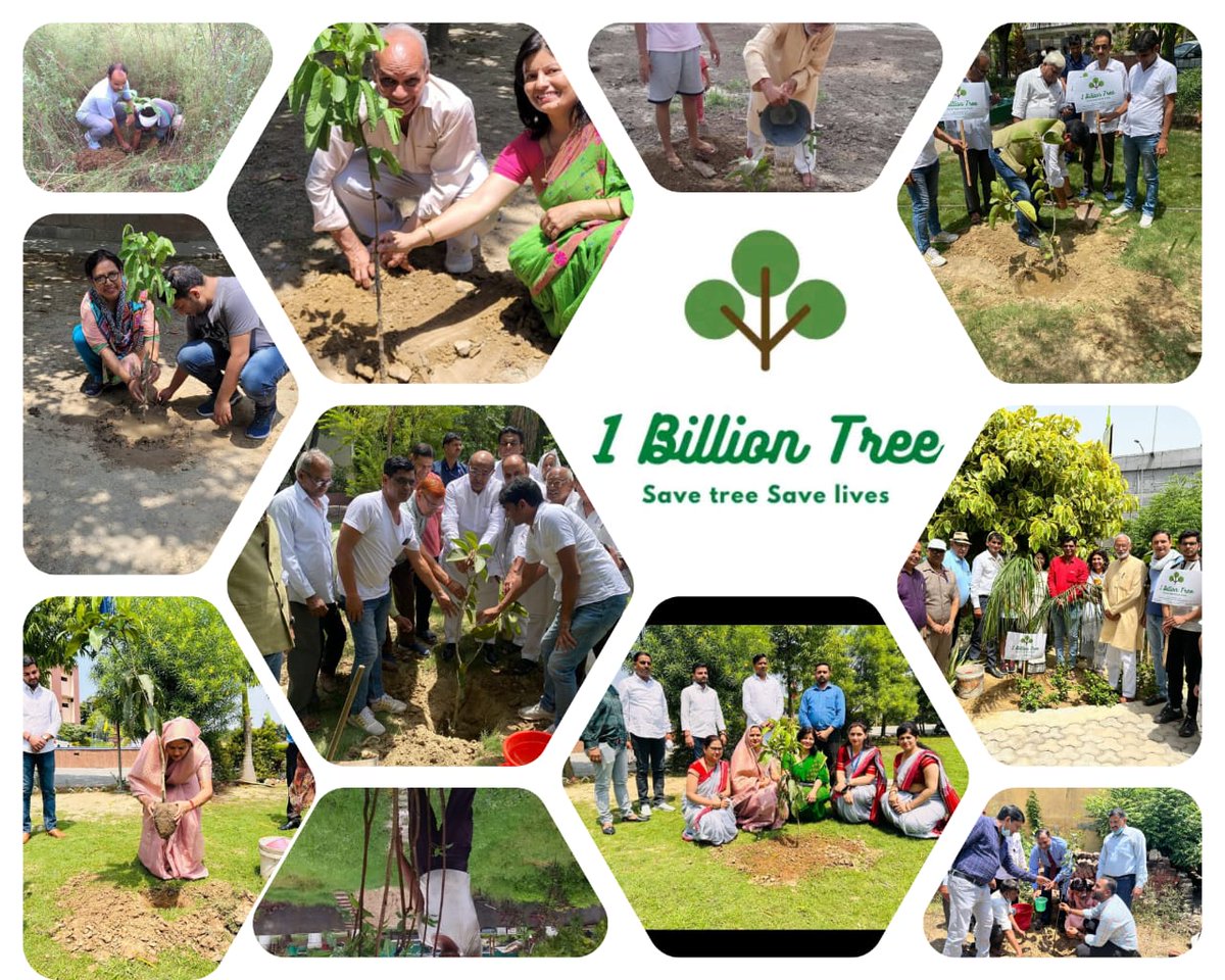 1billiontree's tweet image. Thanks all for such an overwhelming response to our "Selfie with a Tree" campaign :Team 1 Billion Tree
#1billiontree #worldenviornmentday #globalwarmingisreal #tree #SelfieWithATree #SDGs #greenplanet #greenearth