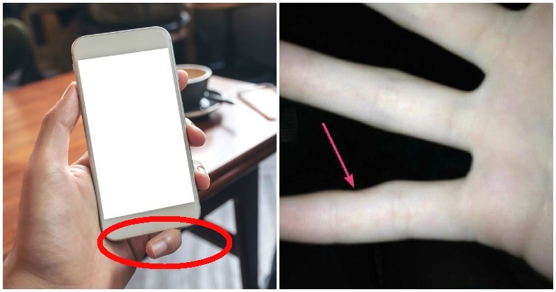 cindygameplays's tweet photo. @HaruJiggly é possível, inclusive tu provavelmente tem o dedo mindinho amassado de ficar aparando o celular com ele https://t.co/CduDfXxgBZ