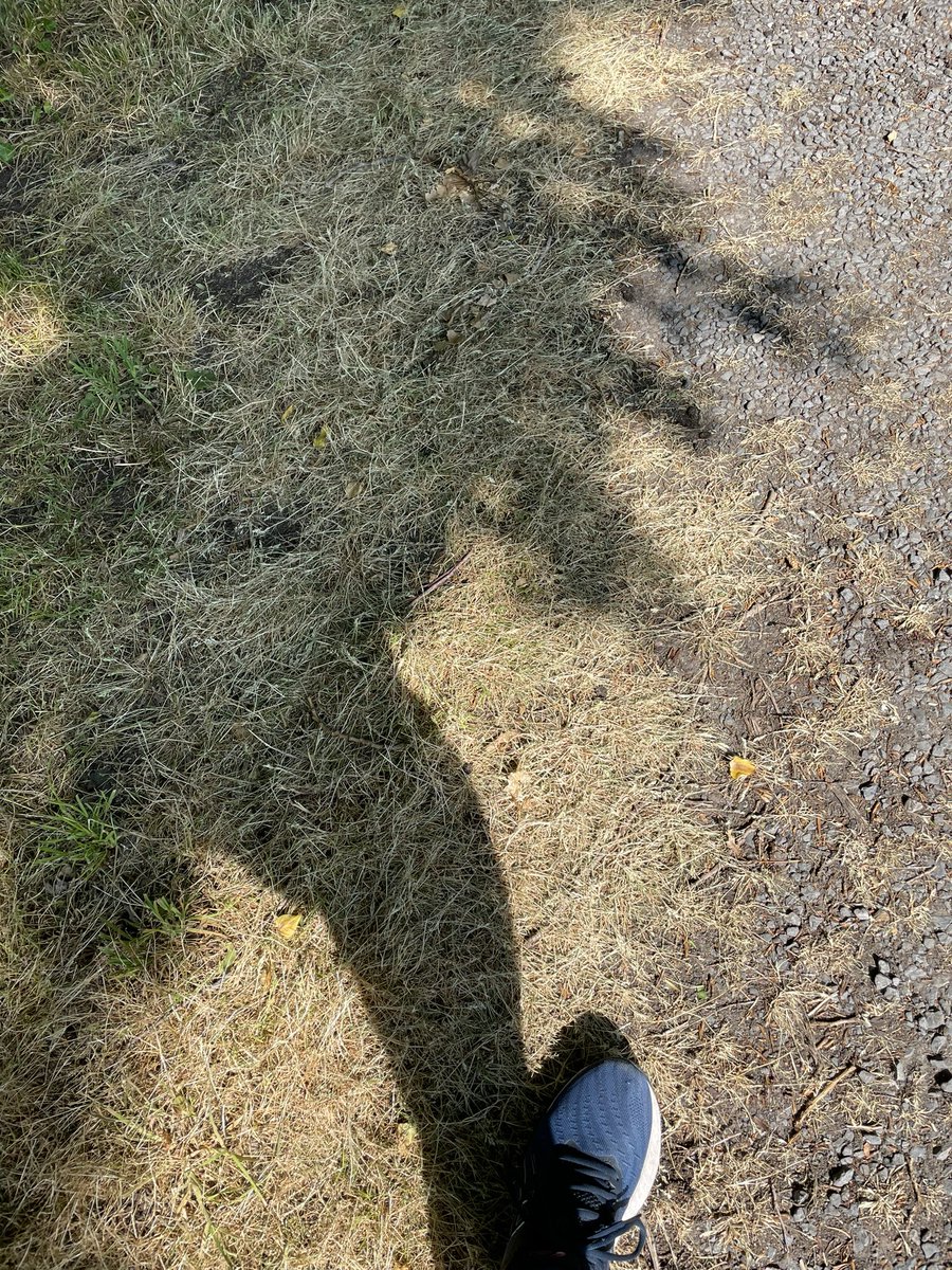 MTchekouteff's tweet photo. 5 km #runfun in the ☀️☀️☀️
It was hot, hot, hot 🥵
#running https://t.co/y3Jt9PXKxp
